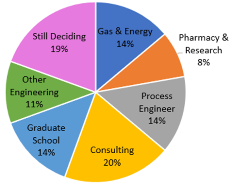 Pie chart showing career paths